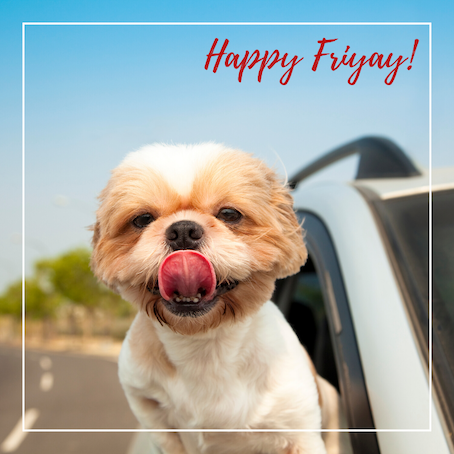 Are you ready to laugh???