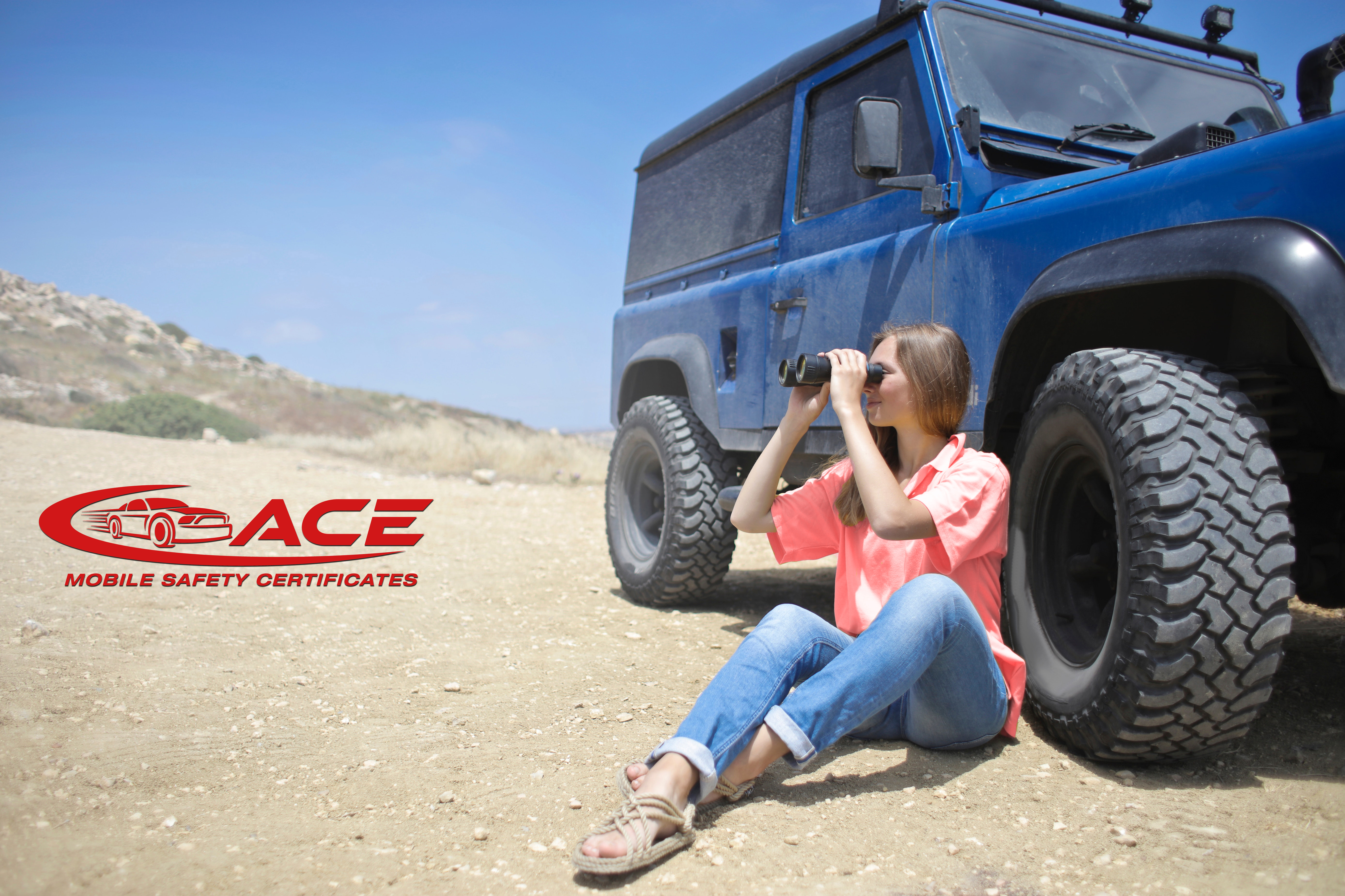 How ACE Inspection works